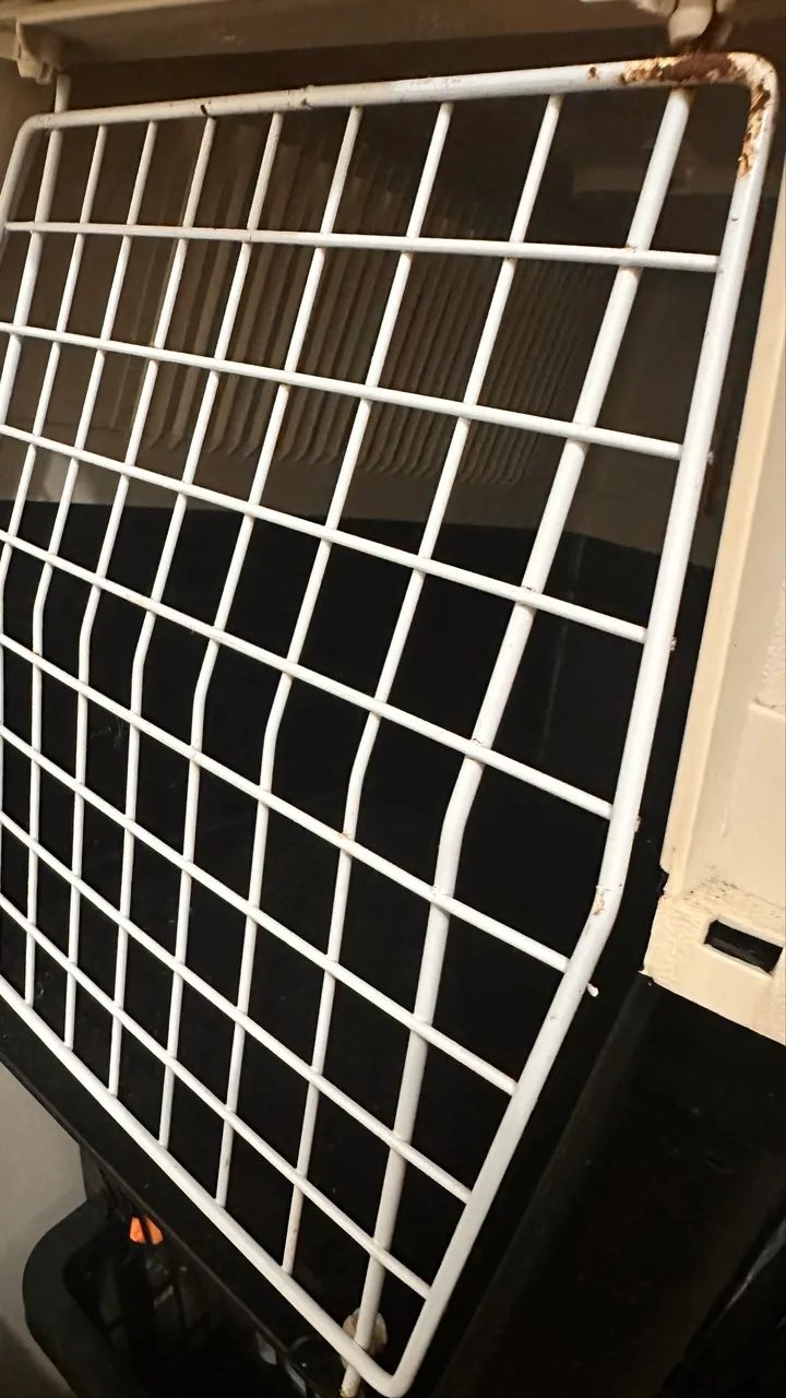 Caixa transporte Pet