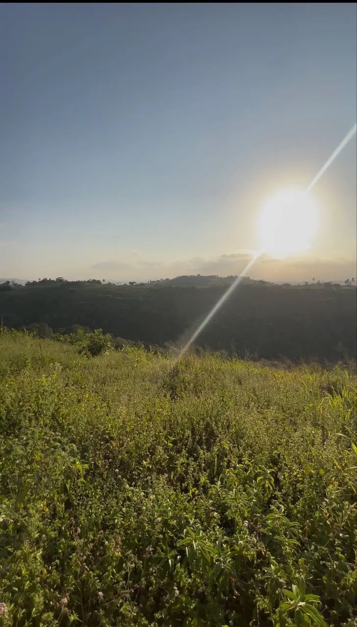 Lote zona Rural Pombos para chácara  - Foto 4