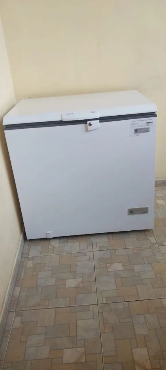 Frezer consul