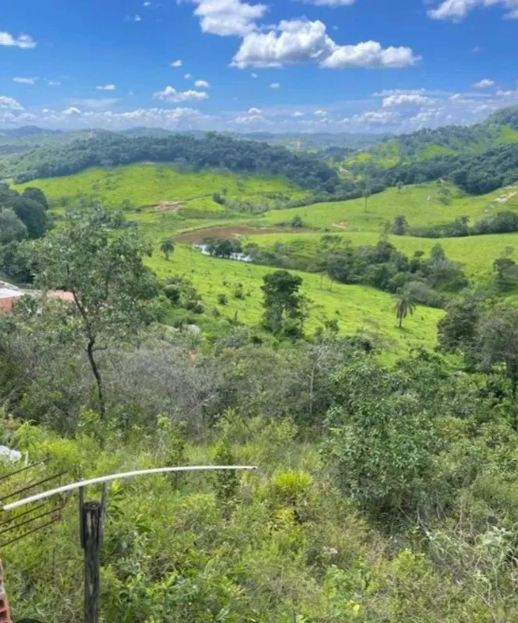 Terreno pra sítio Taquaruçu de Minas - Foto 2