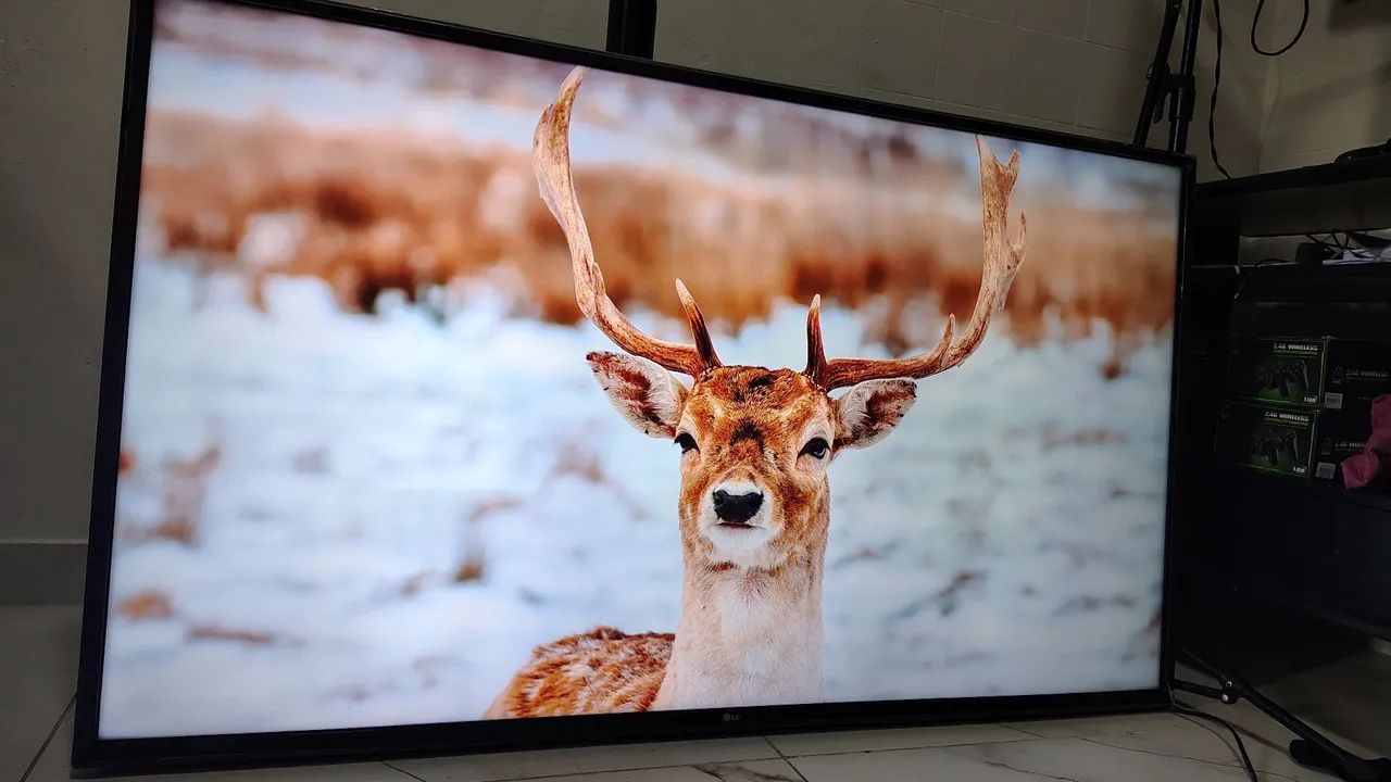 Smart TV LG 4k 55 polegadas IMPECÁVEL (controle, pés e manual inclusos) - Foto 3