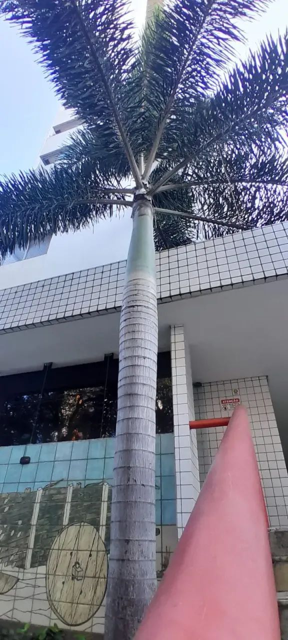 Apartamento à venda, ESPINHEIRO, Recife, PE