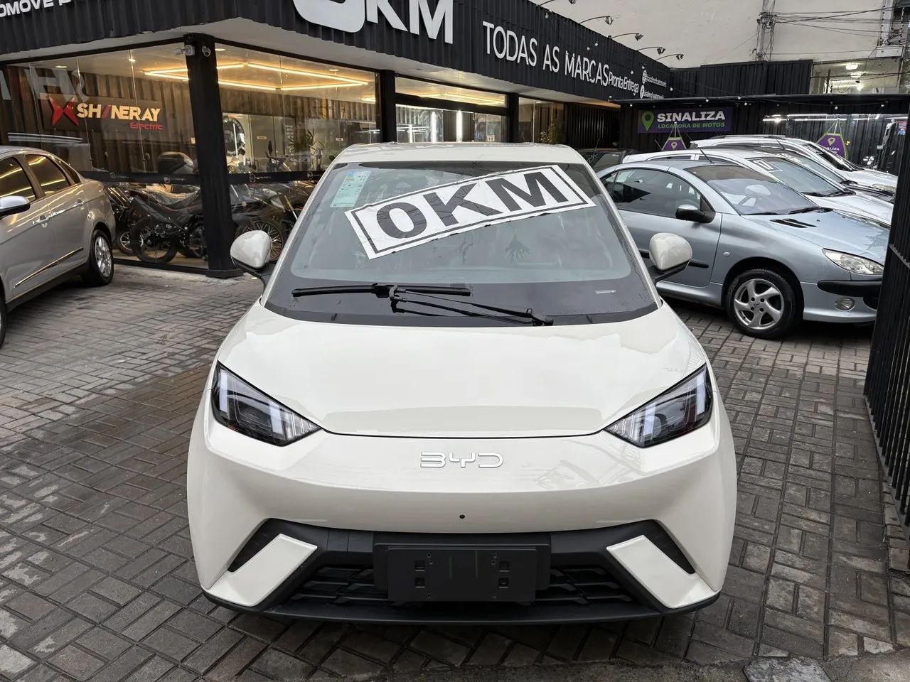 BYD Dolphin Mini (Elétrico) 2027 - Foto 2