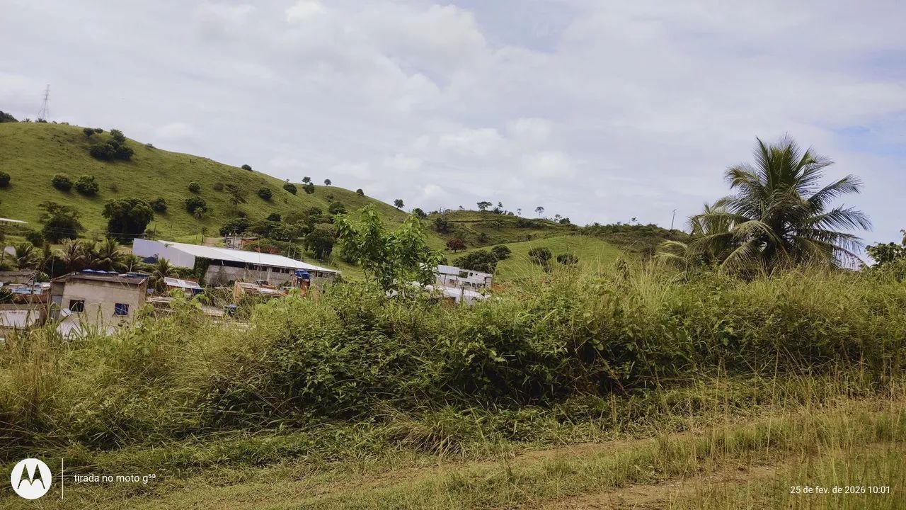 Vendo terreno no novo são Caetano  - Foto 6