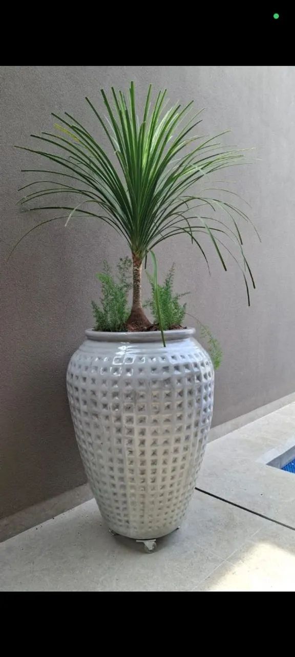 Vendo sob encomenda  - Foto 3