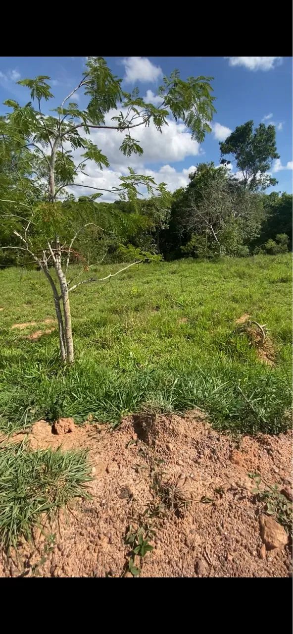 Foto - Contagem - Santa Maria