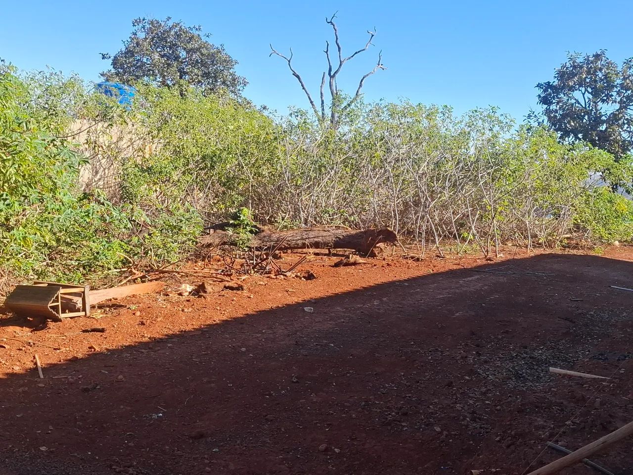 Chácara  - Foto 4