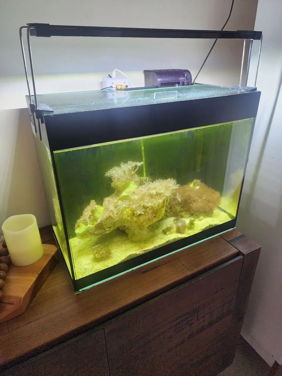 Aquario 40 litros  - Foto 3