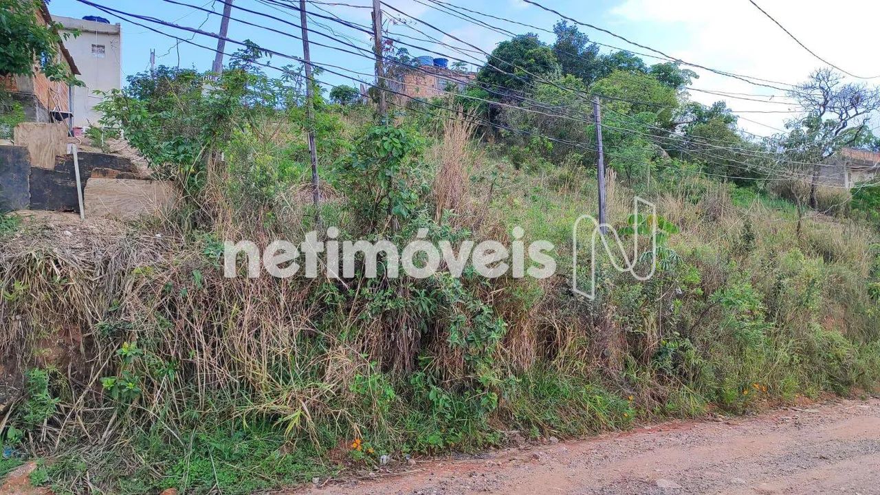 Lote com aproximadamente 671,00 metros quadrados - Foto 5