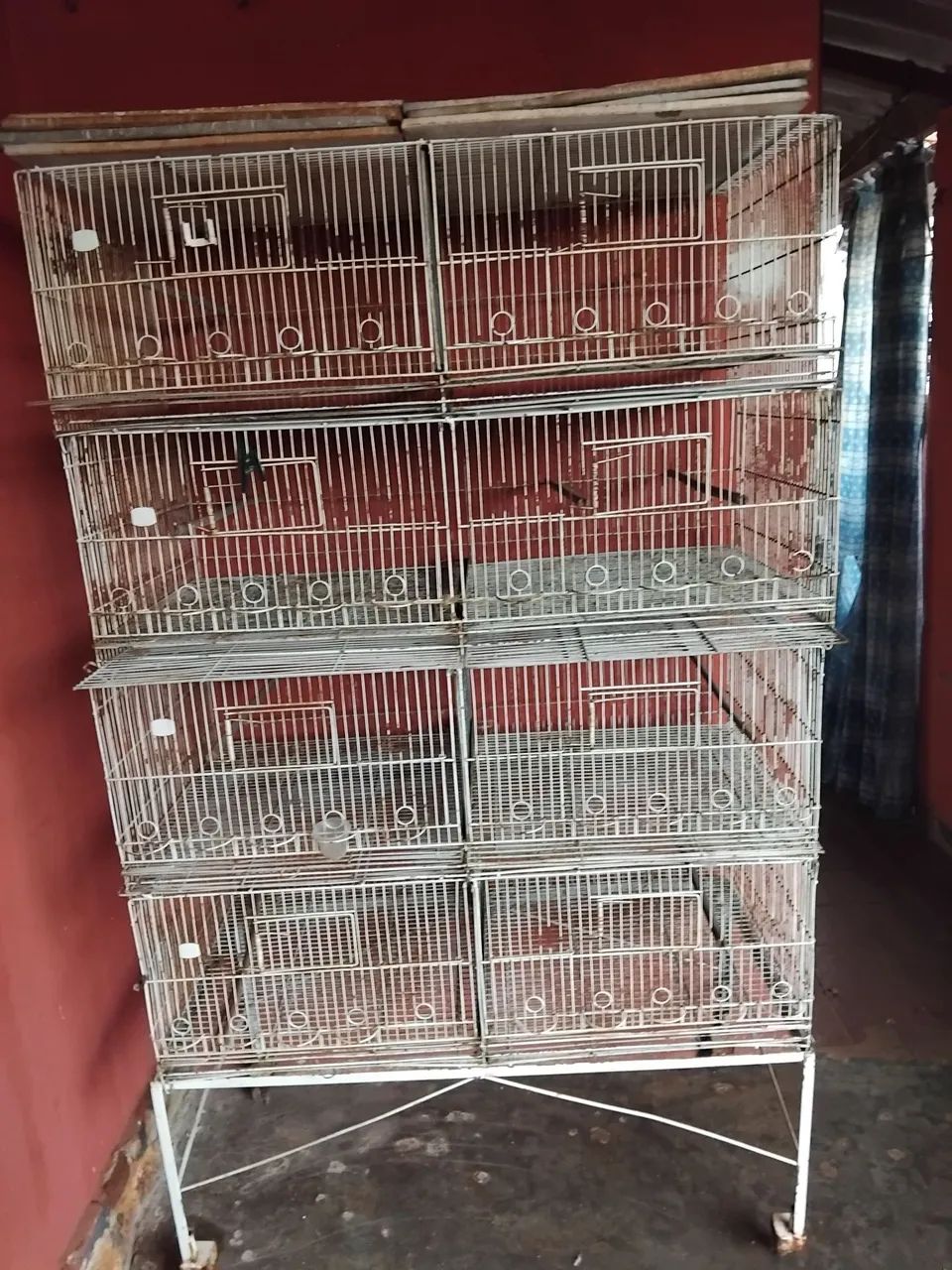 Voadeira para Pássaros 