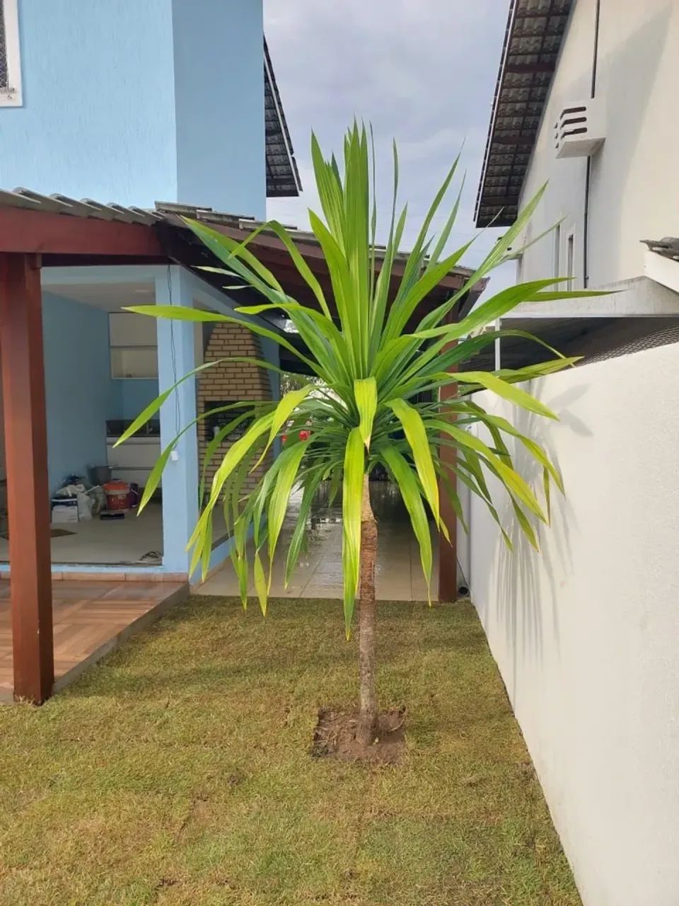 Excelente casa mobiliada - Foto 2