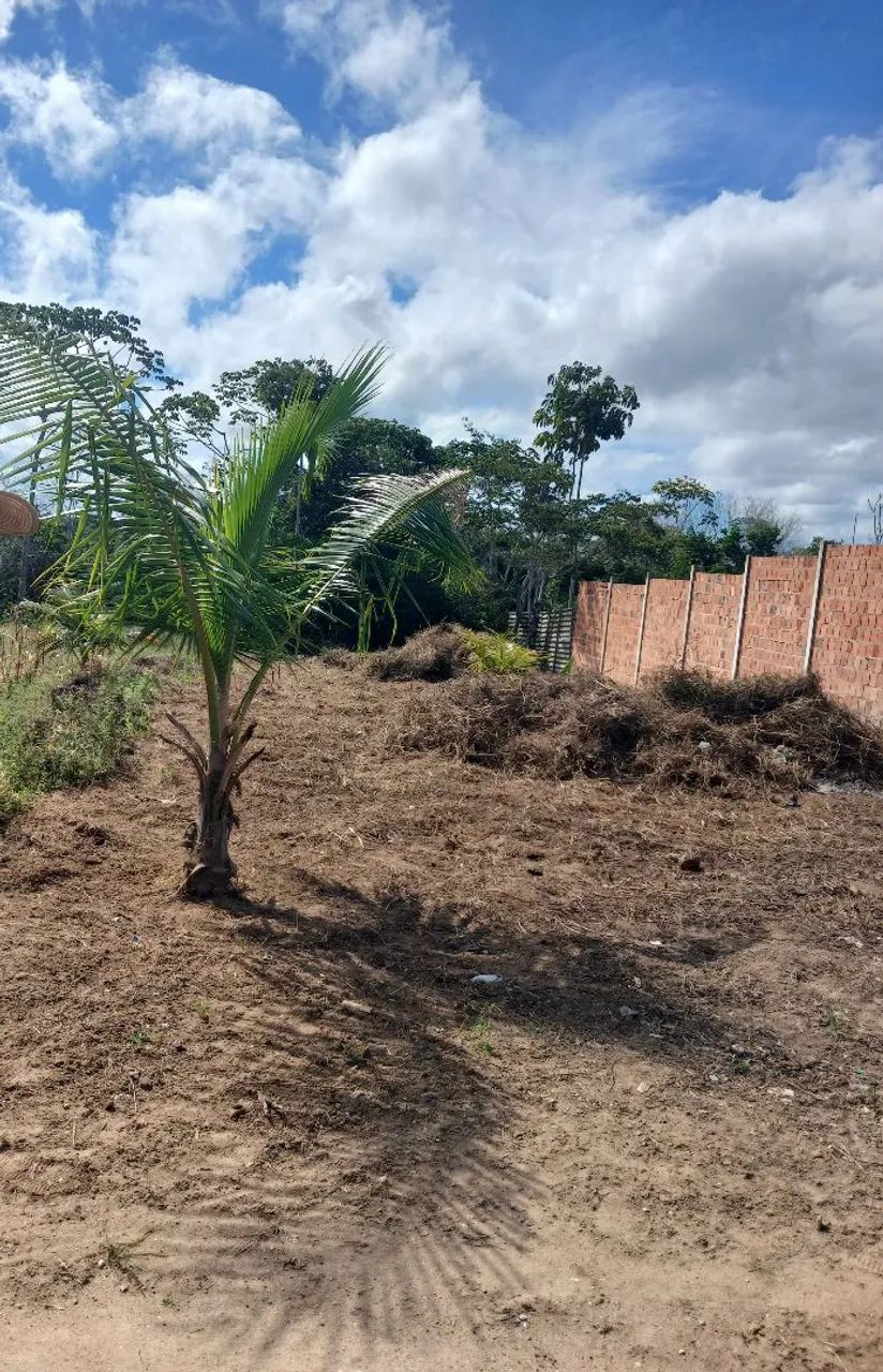 Terreno - Foto 2