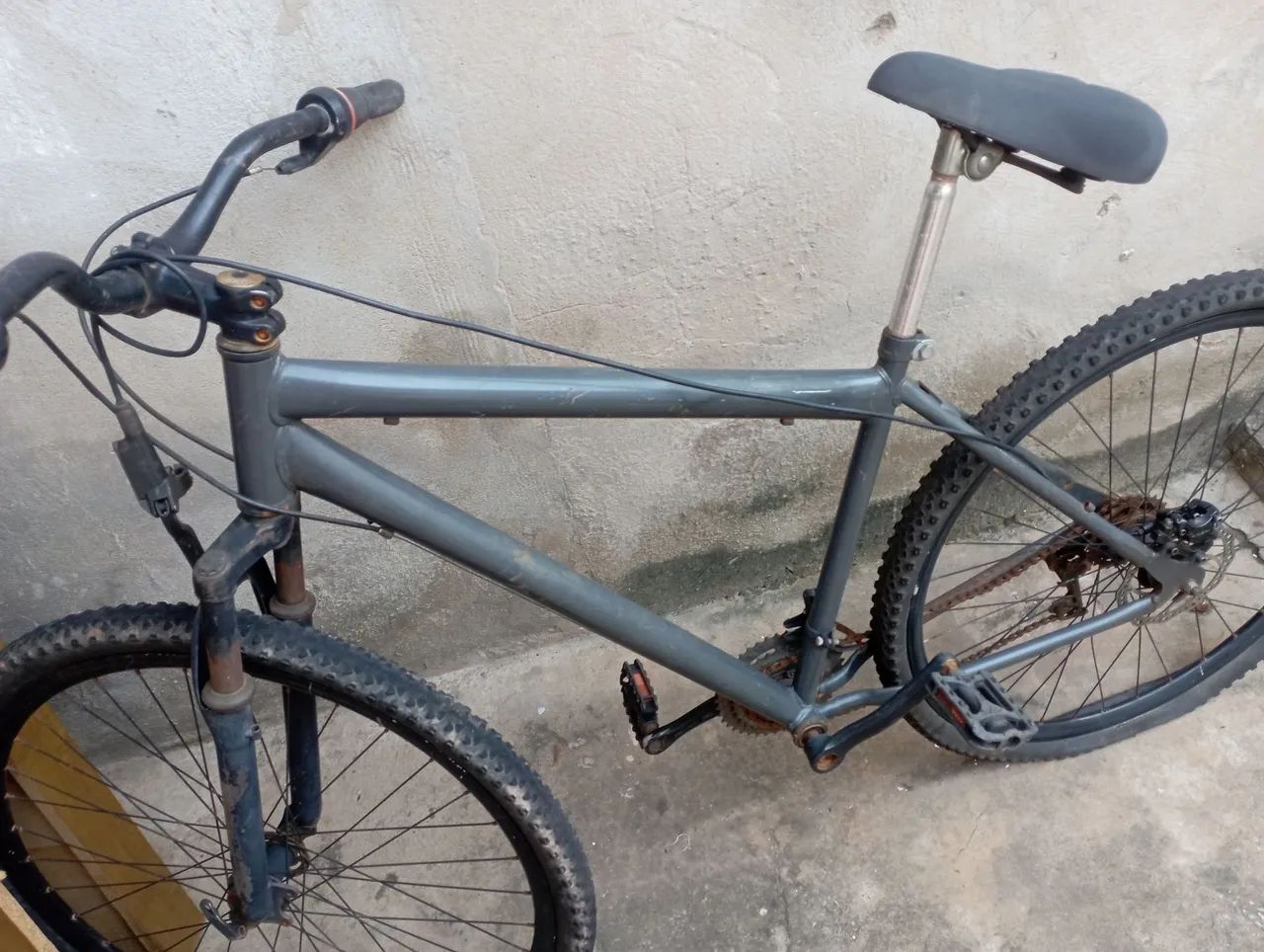 Bicicleta 29
