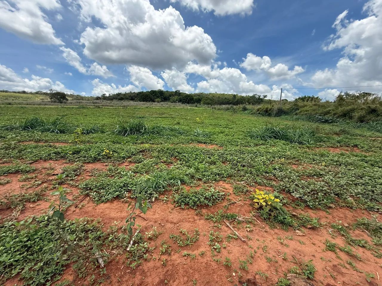 Fazendinhas rurais em florestal  - Foto 2