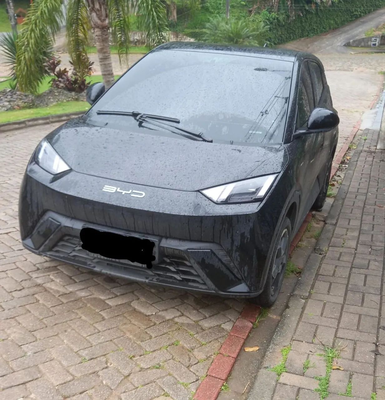 BYD Dolphin Mini (Elétrico) 2025