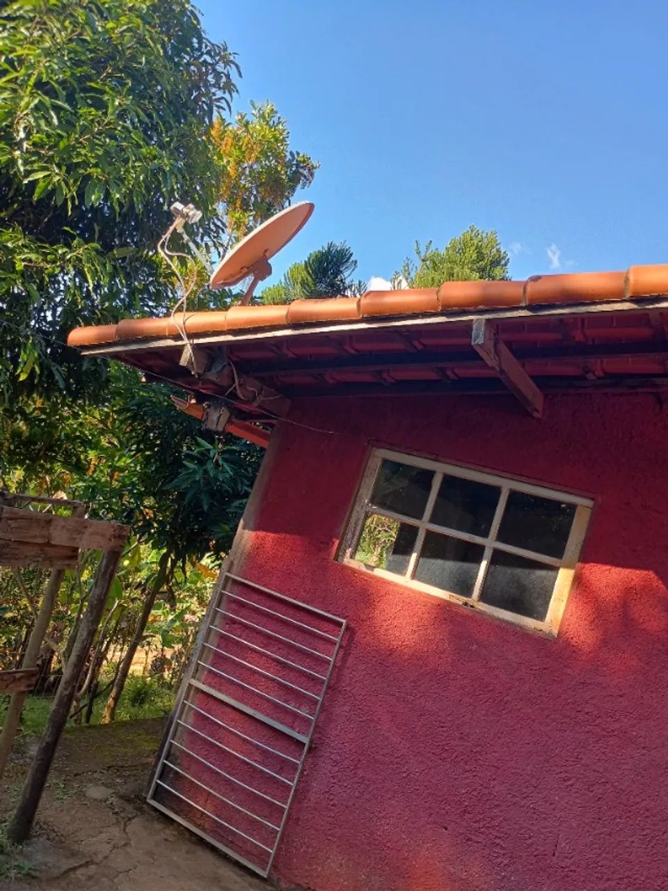 Vendo granja  - Foto 4