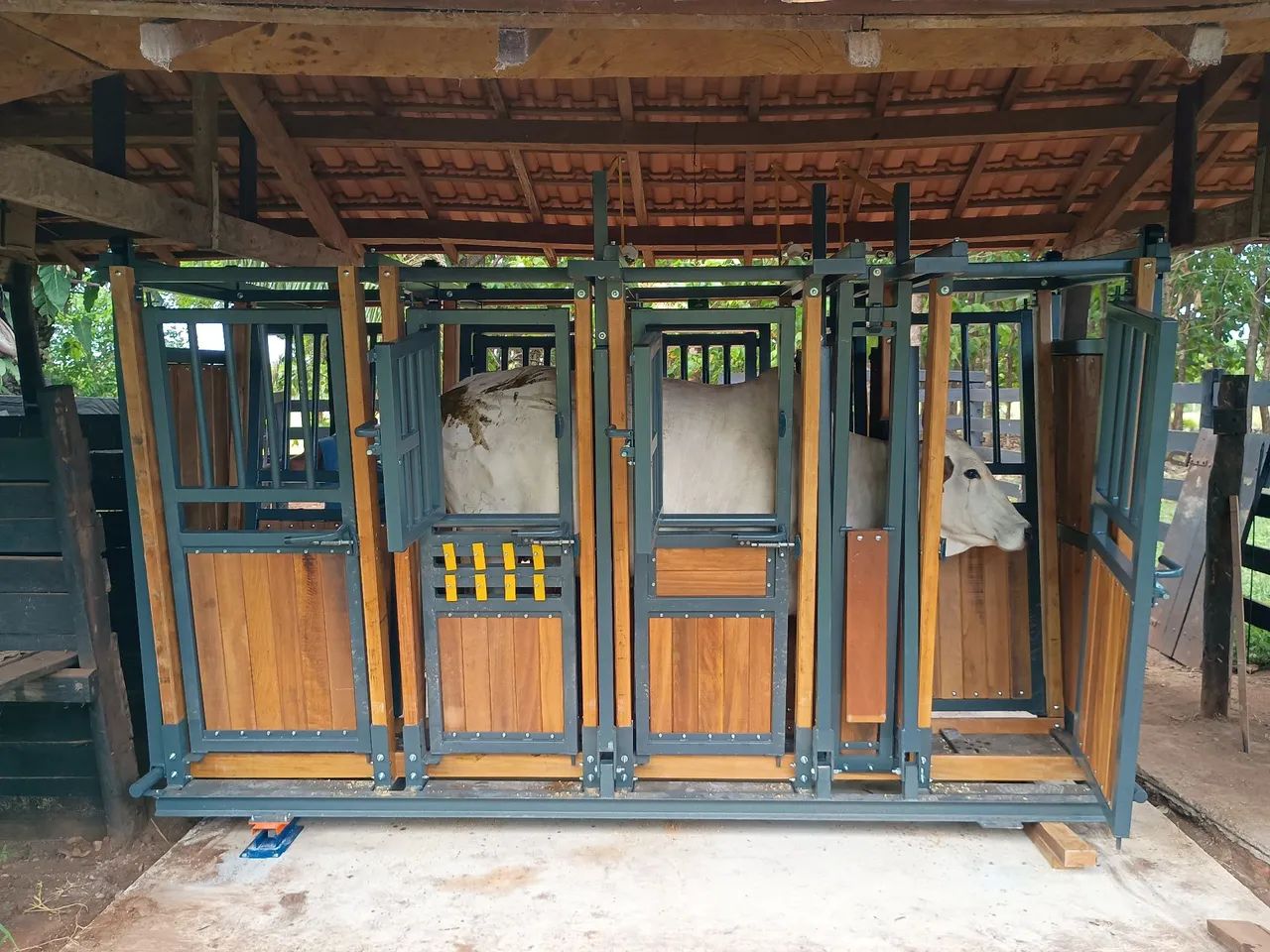 TRONCO DE CONTENÇÃO BOVINO E BALANÇA ELETRÔNICA (BRETE) - Foto 5