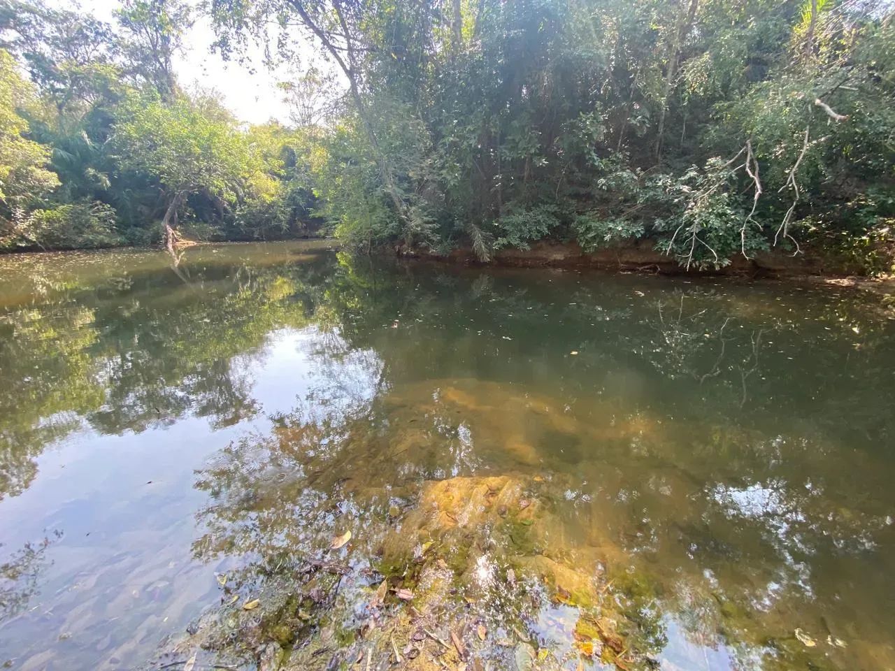 Chácara de 4 ha em Bonito com 4 suítes e piscina - Foto 4