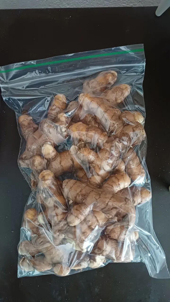 Açafrão ou curcuma - Foto 4