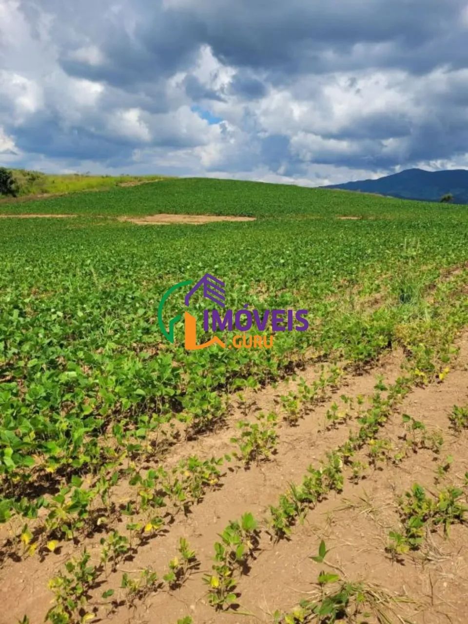 FAZENDA - CENTRO - MG