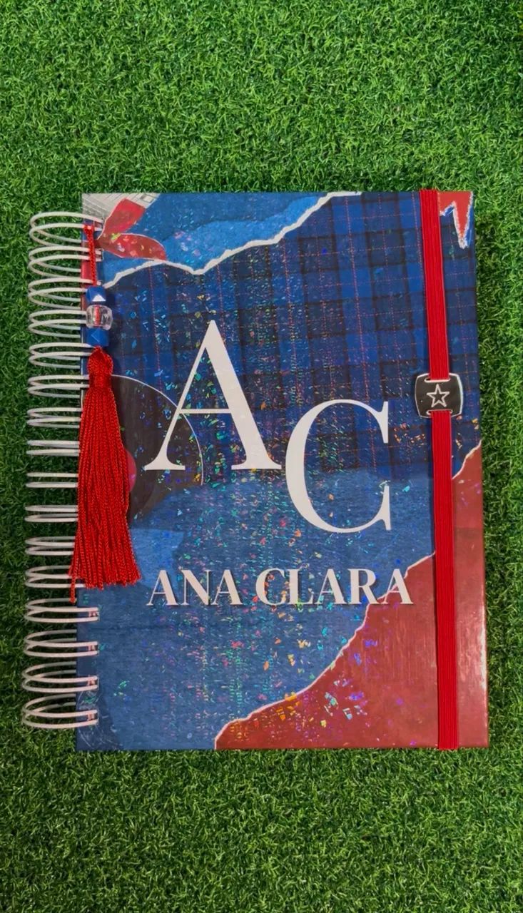 Custom Planner445600302839244800