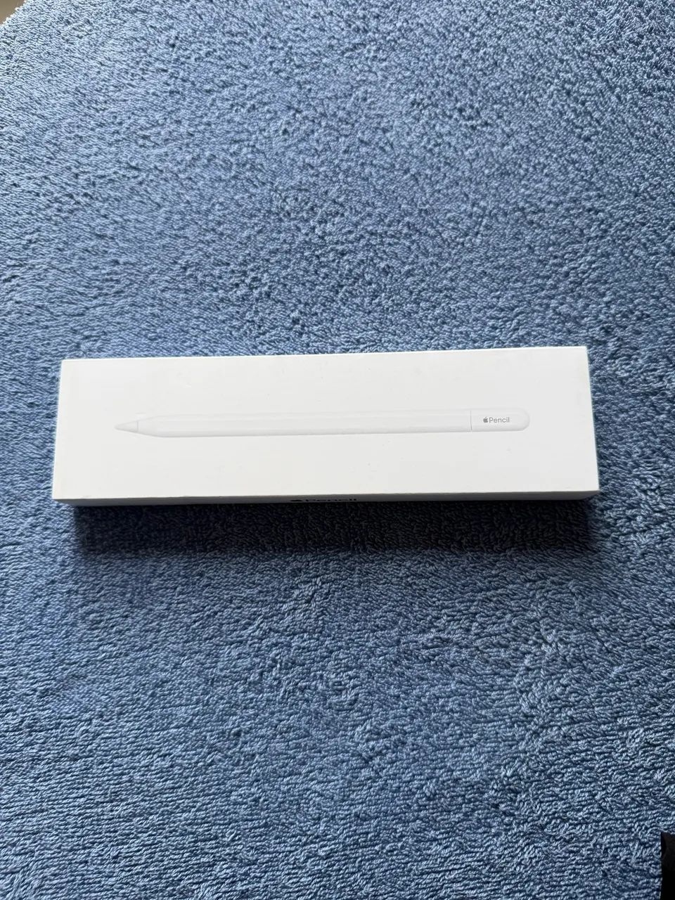 Apple Pencil USB-C Original  - Foto 2