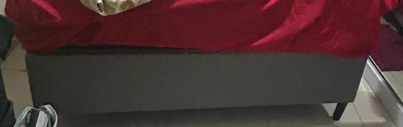 Vendo65204502754177120