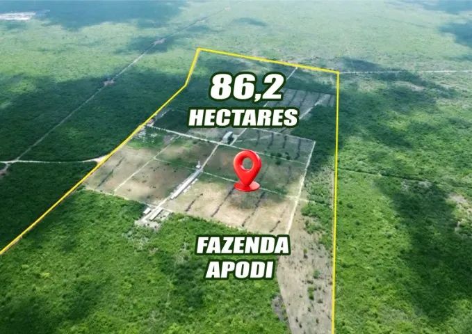 FAZENDA  SÃO FRANCISCO (CHAPADA DO APODI) - Foto 2