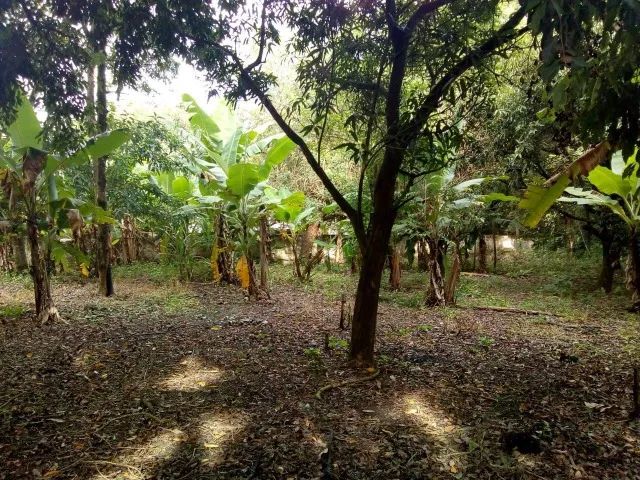 TERRENO 2.000m2 À VENDA - SOROCABA/SP - Foto 4