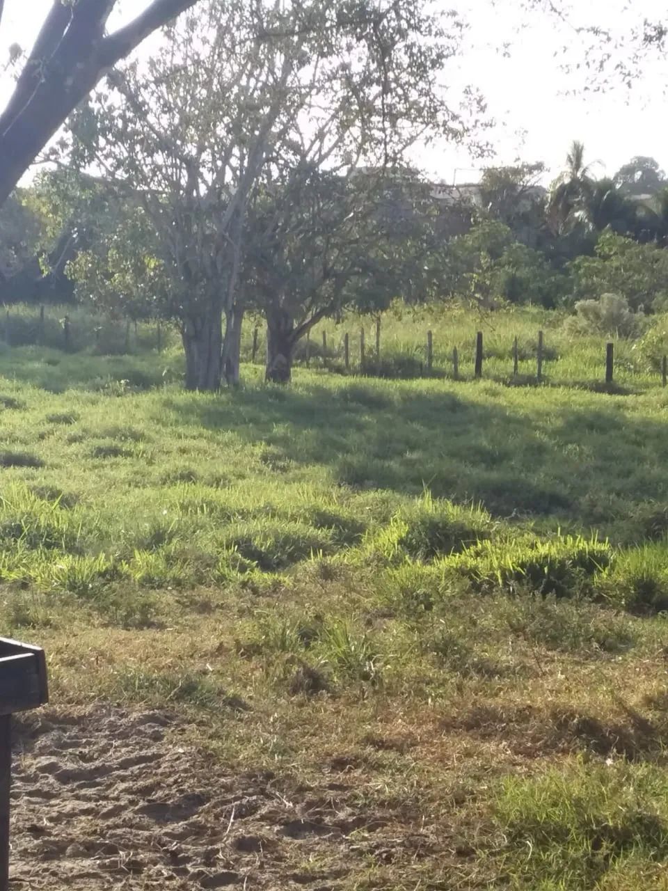 Vende-se um Terreno  - Foto 5