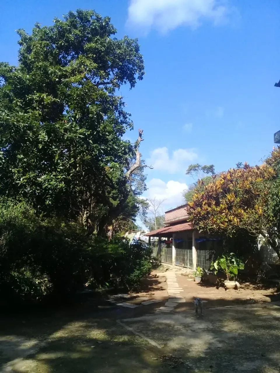 excelente Sítio em Engenheiro Paulo de Frontin - Foto 5