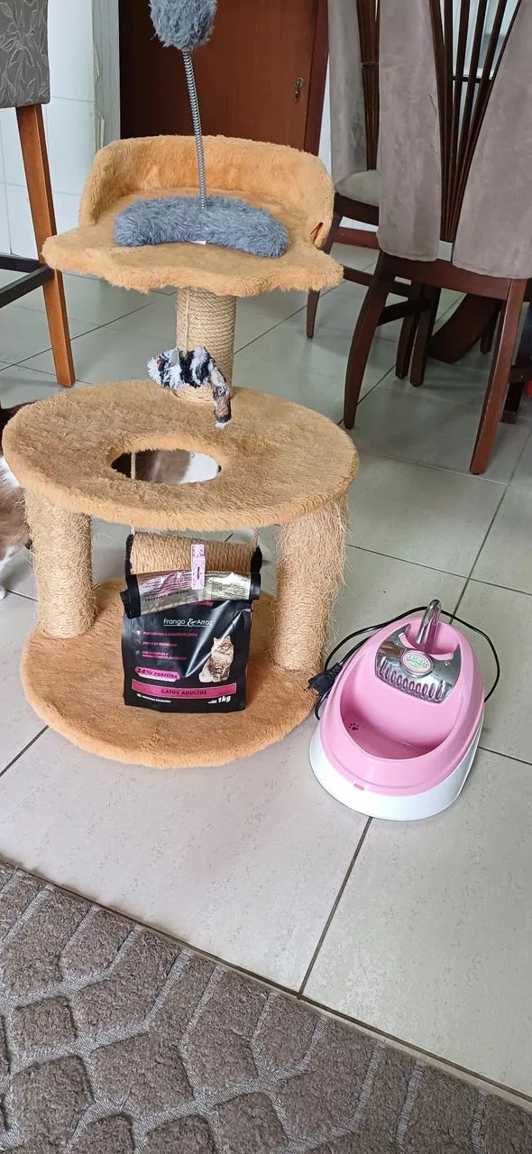Combo Gato - Foto 2