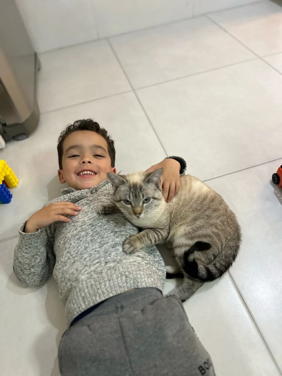 Doação gato macho  - Foto 4
