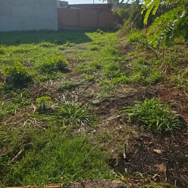 TERRENO 212,25m² RESERVA MACAÚBA - Foto 4