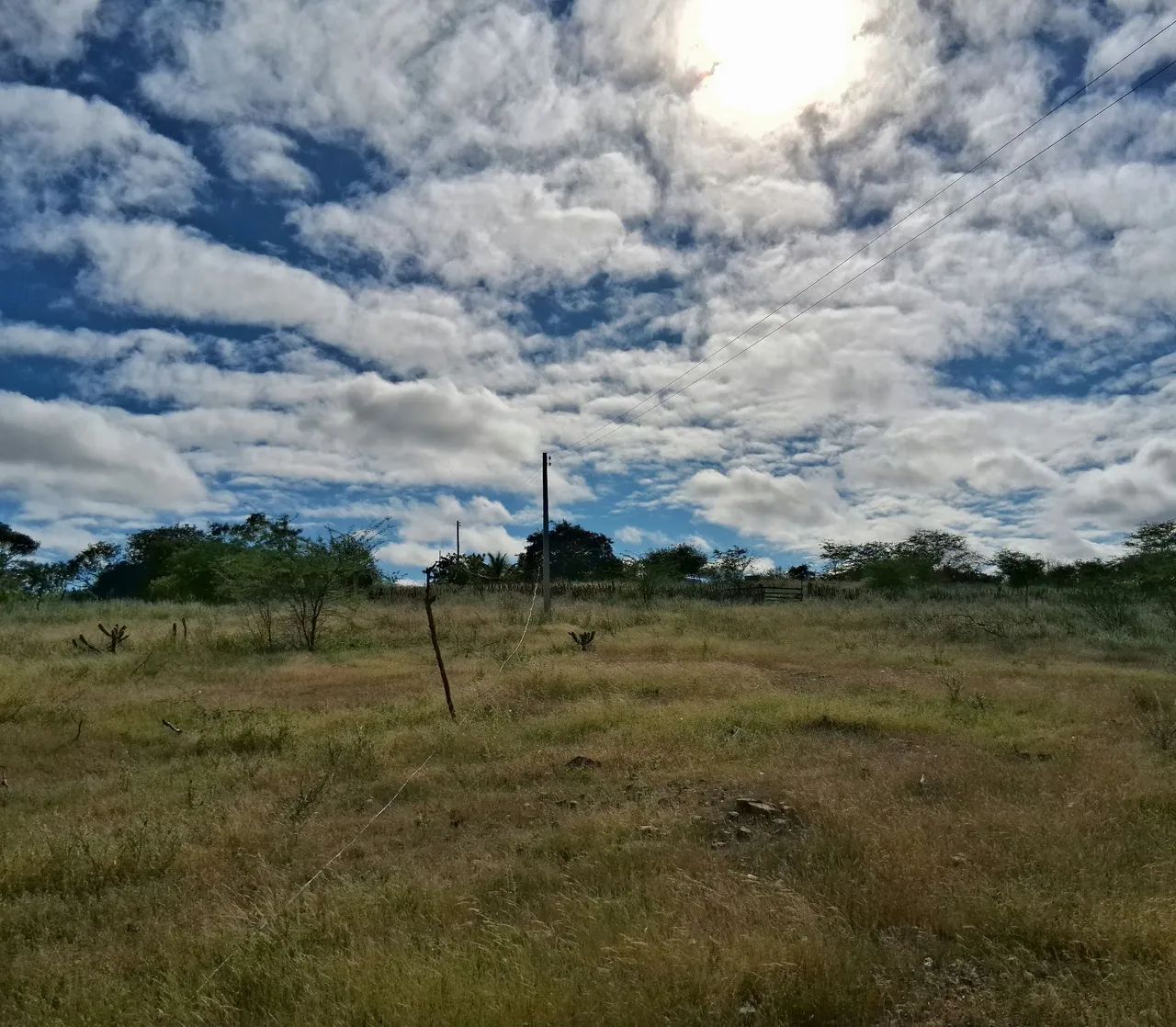 Vendo sítio 20.000 m2 