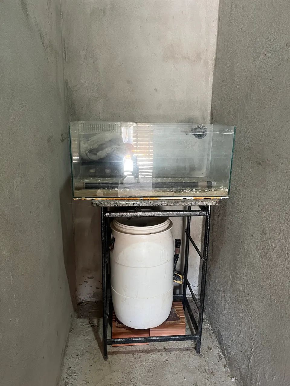Aquário