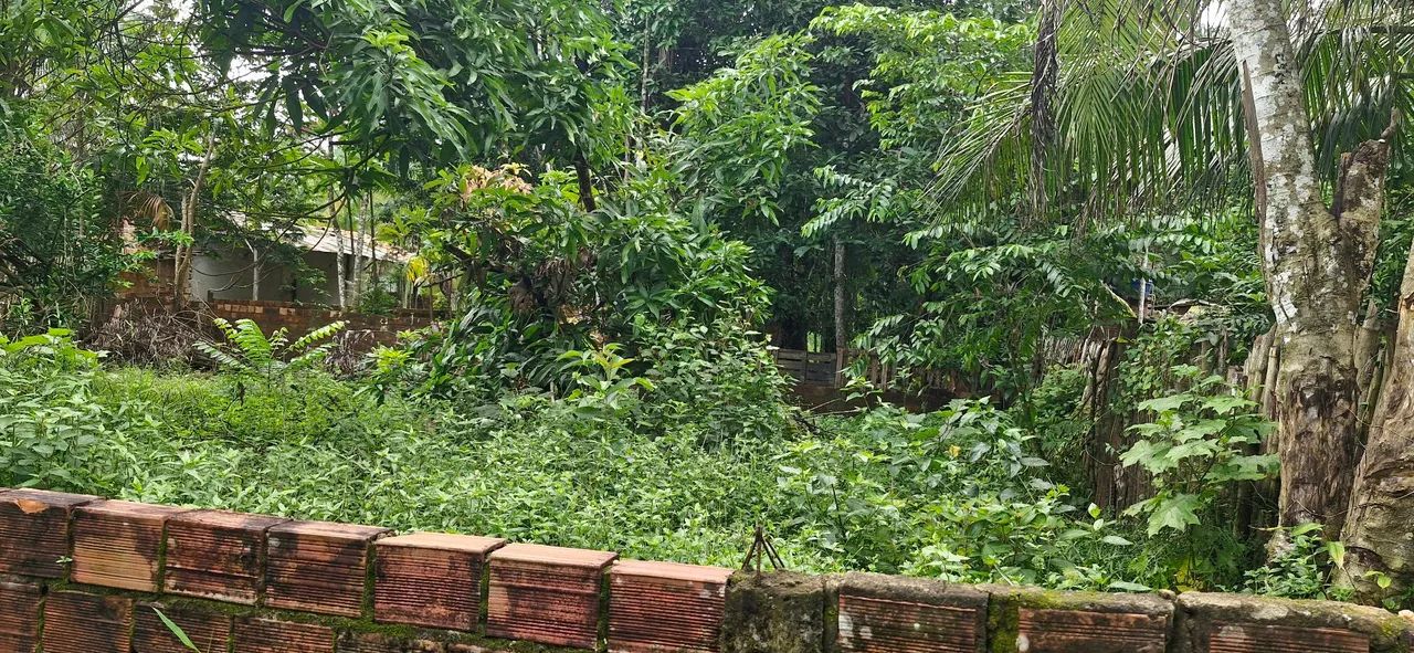 Terreno em bairro: Santa Maria.