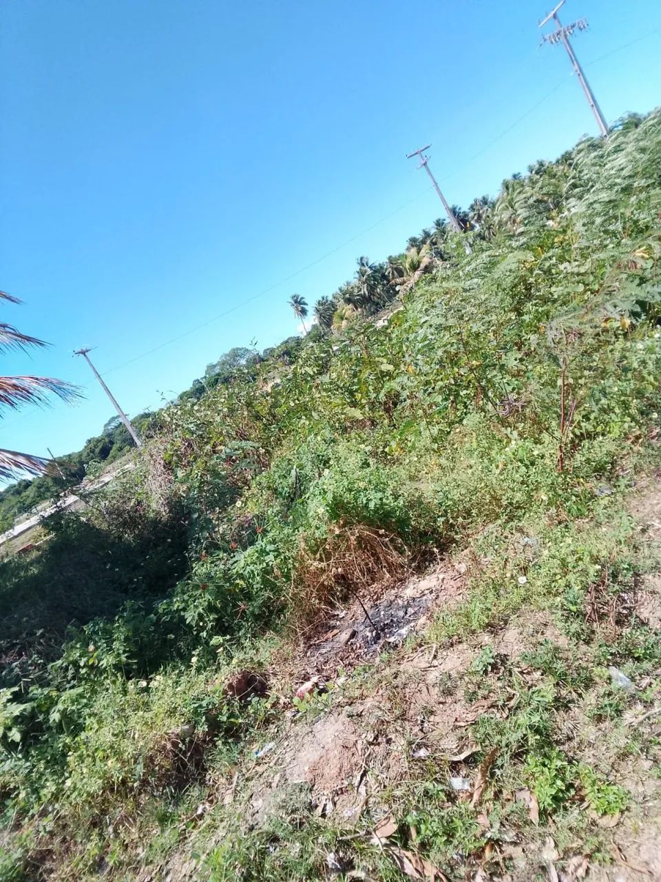 Terreno no abais - Foto 5