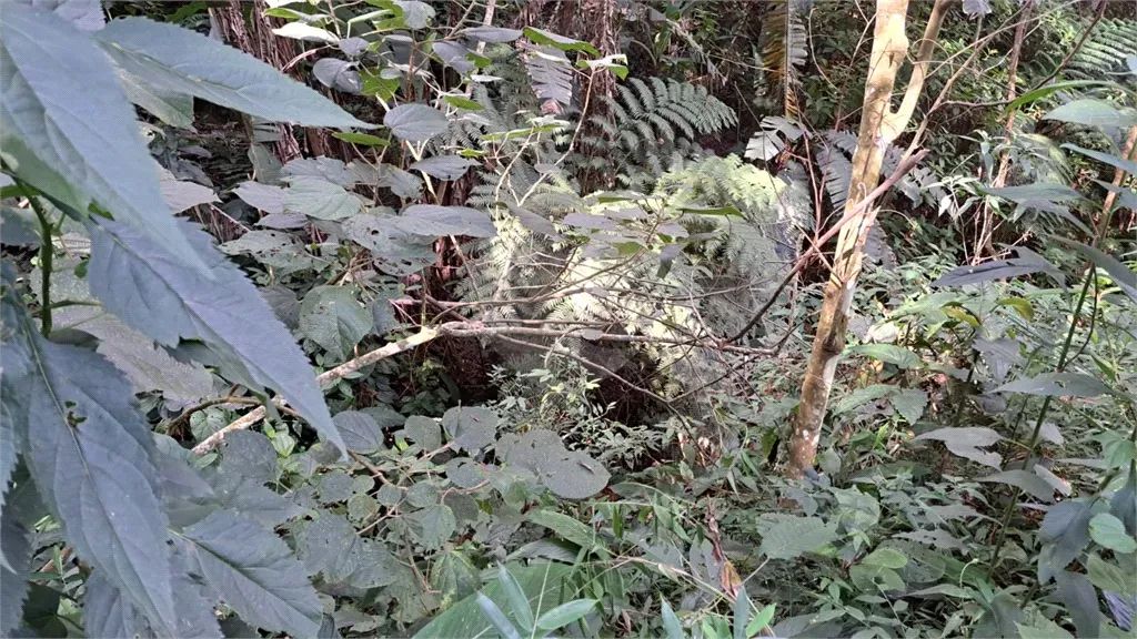 Terreno à venda em Mato dentro - SP - Foto 3