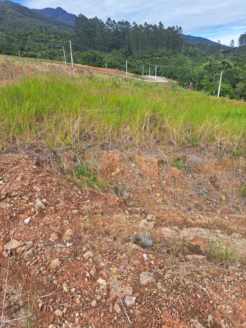 Roço lotes residências e industriais Florianópolis e região  - Foto 2