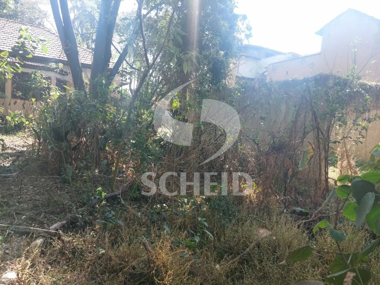 Terreno no Alto da Boa Vista - Foto 3