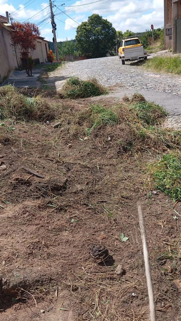 Limpeza de lote , quintal. - Foto 4