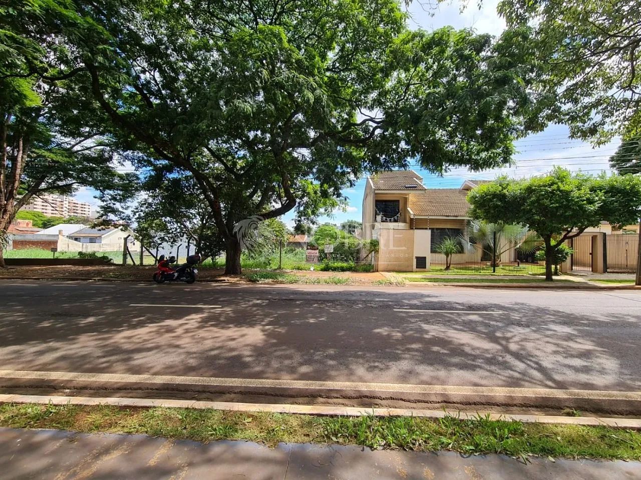 Terreno Comercial Av. Gastão Vidigal - Foto 2