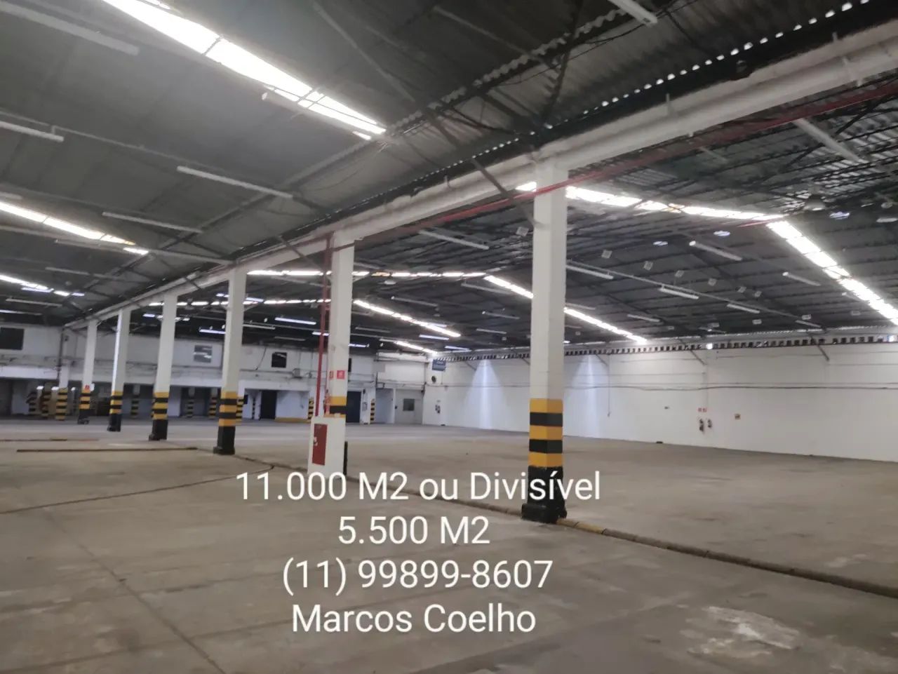 LEOPOLDINA CEASA - Foto 4