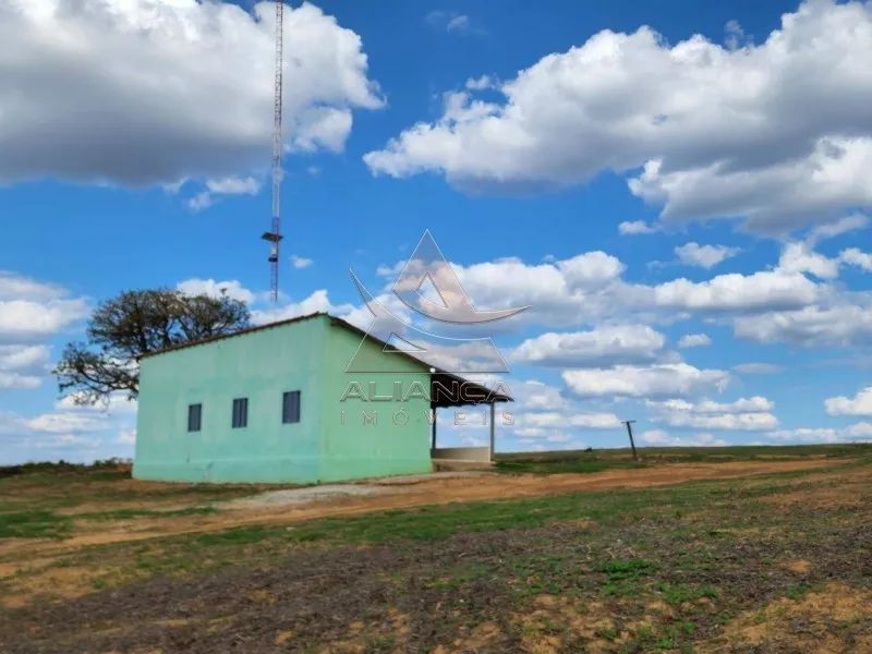 Fazenda - Campinorte - Zona Rural - Foto 4