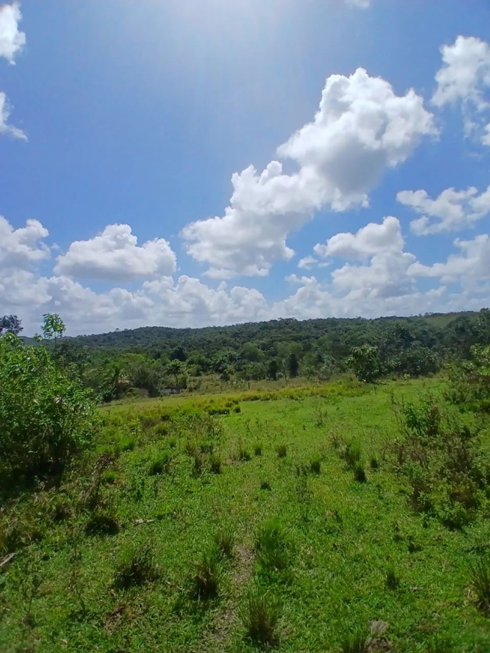 Fazenda com 200 tarefas