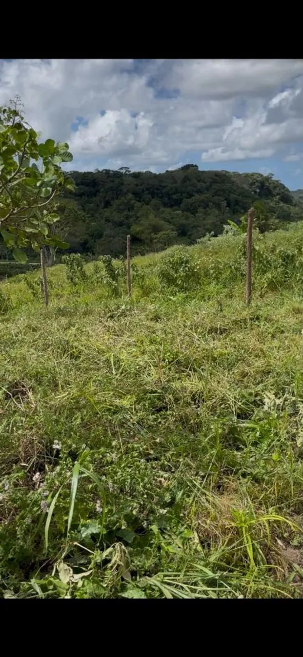 Vendo esta casa com terreno em flexeira - Foto 3