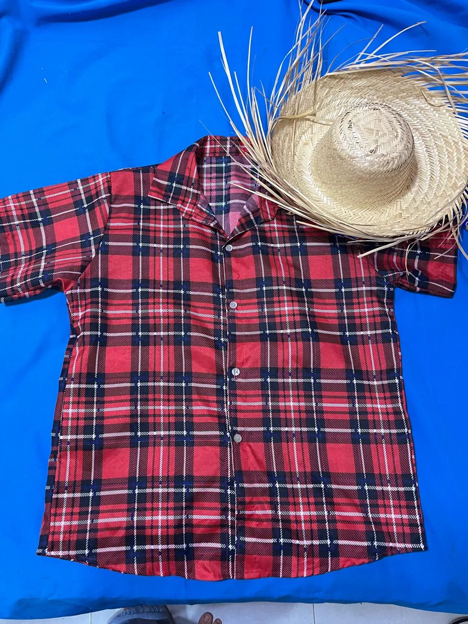 CAMISA QUADRICULADA + CHAPÉU DE PALHA