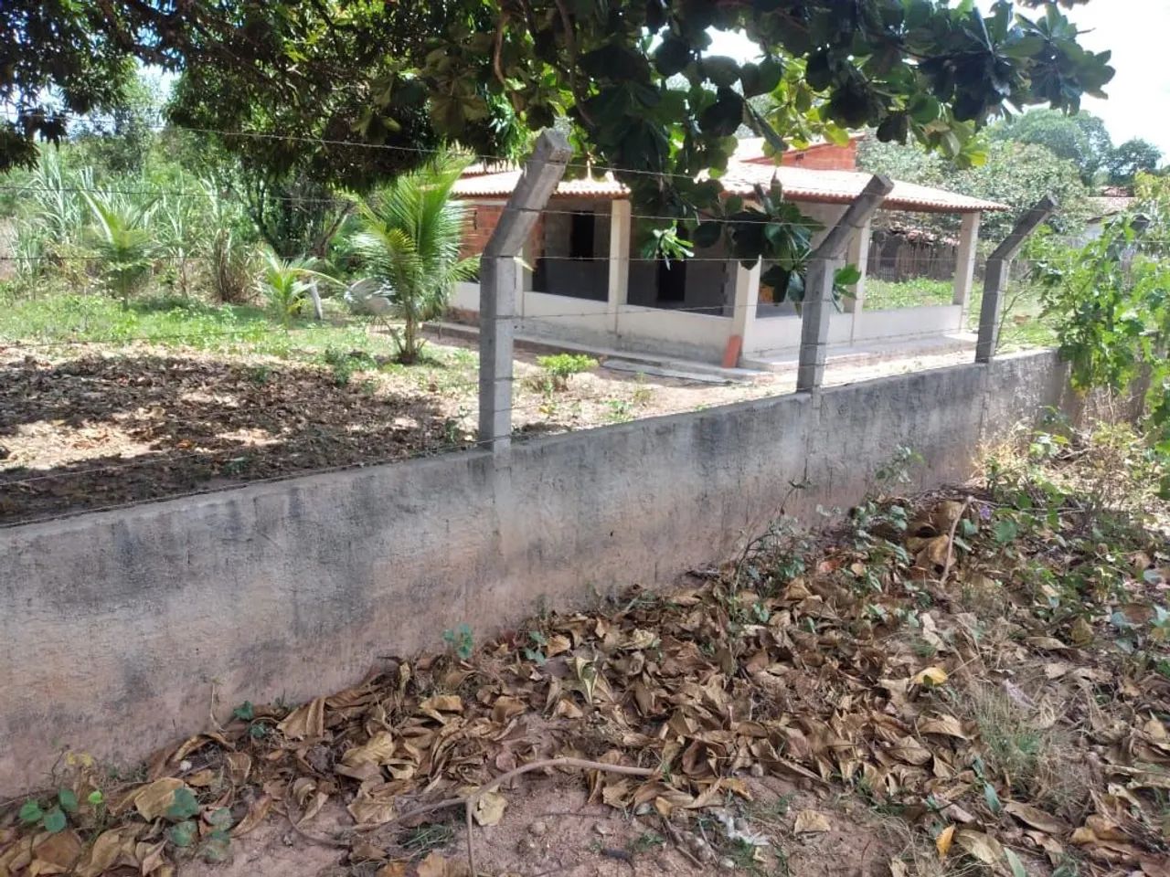 Sítio em Itapipoca/CE - Foto 4