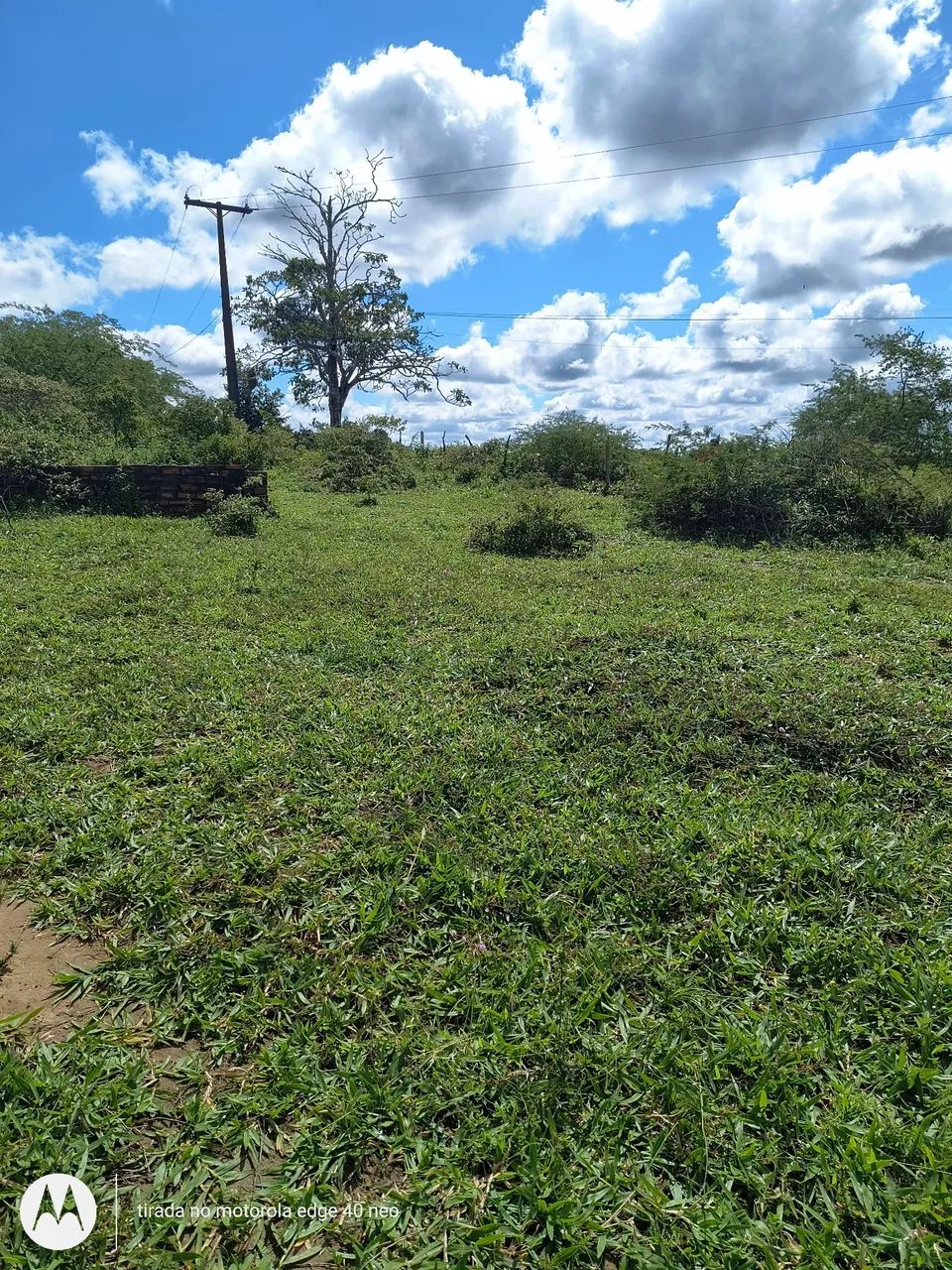 ÓTIMA OPORTUNIDADE DE NEGÓCIO  - Foto 4